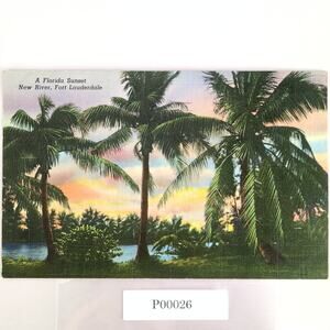 Vintage 1943 Linen Postcard A Florida Sunset New River Fort Lauderdale Palms